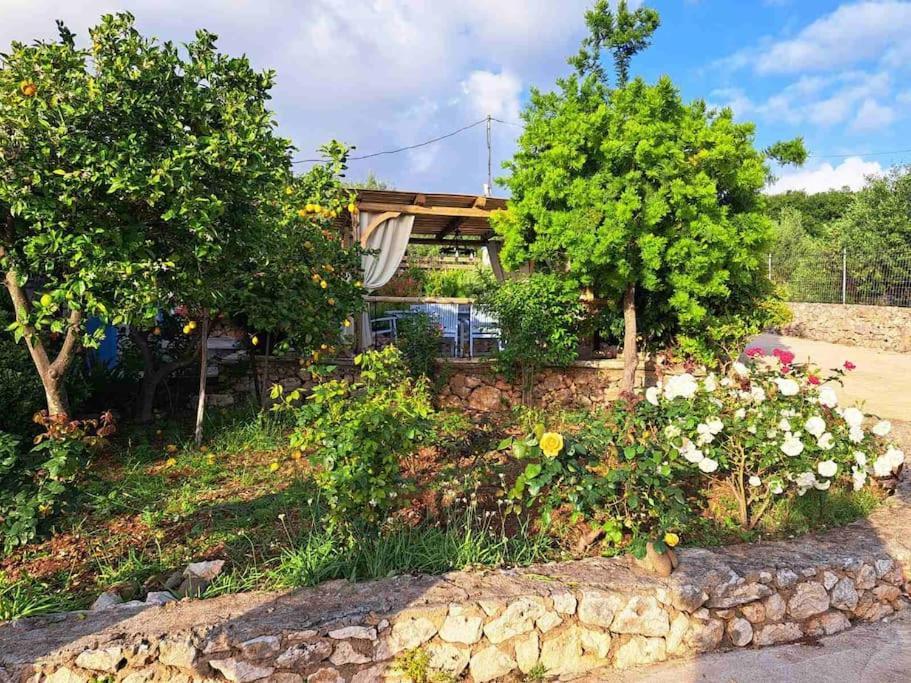 ארגוסטולי Fragosiko - Rustic Retreat In Kefalonia מראה חיצוני תמונה