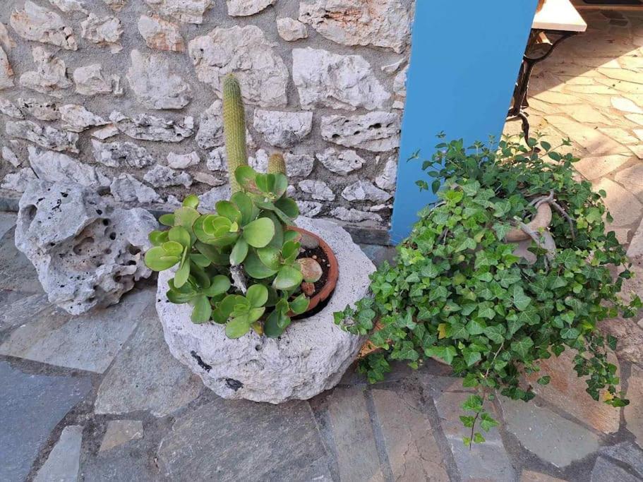 ארגוסטולי Fragosiko - Rustic Retreat In Kefalonia מראה חיצוני תמונה