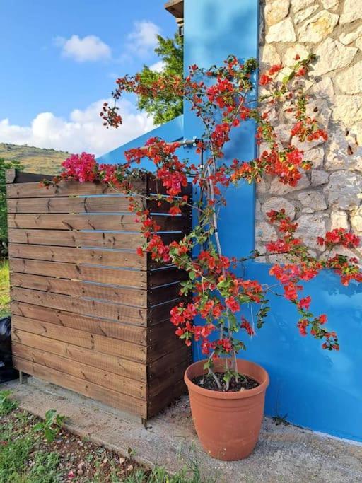 ארגוסטולי Fragosiko - Rustic Retreat In Kefalonia מראה חיצוני תמונה