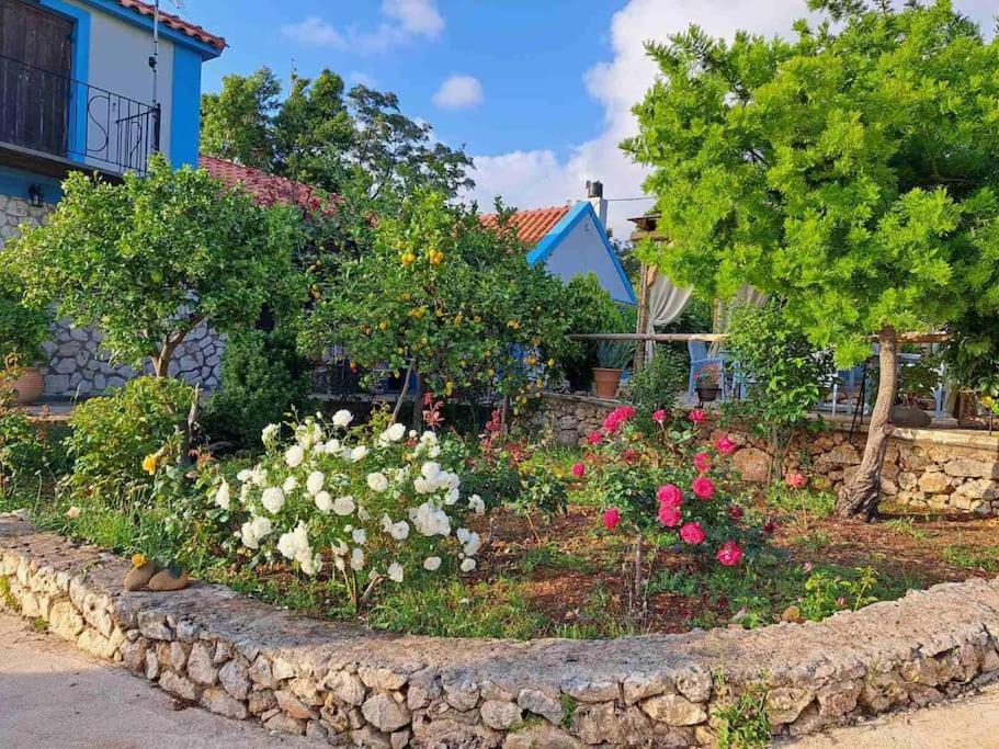 ארגוסטולי Fragosiko - Rustic Retreat In Kefalonia מראה חיצוני תמונה